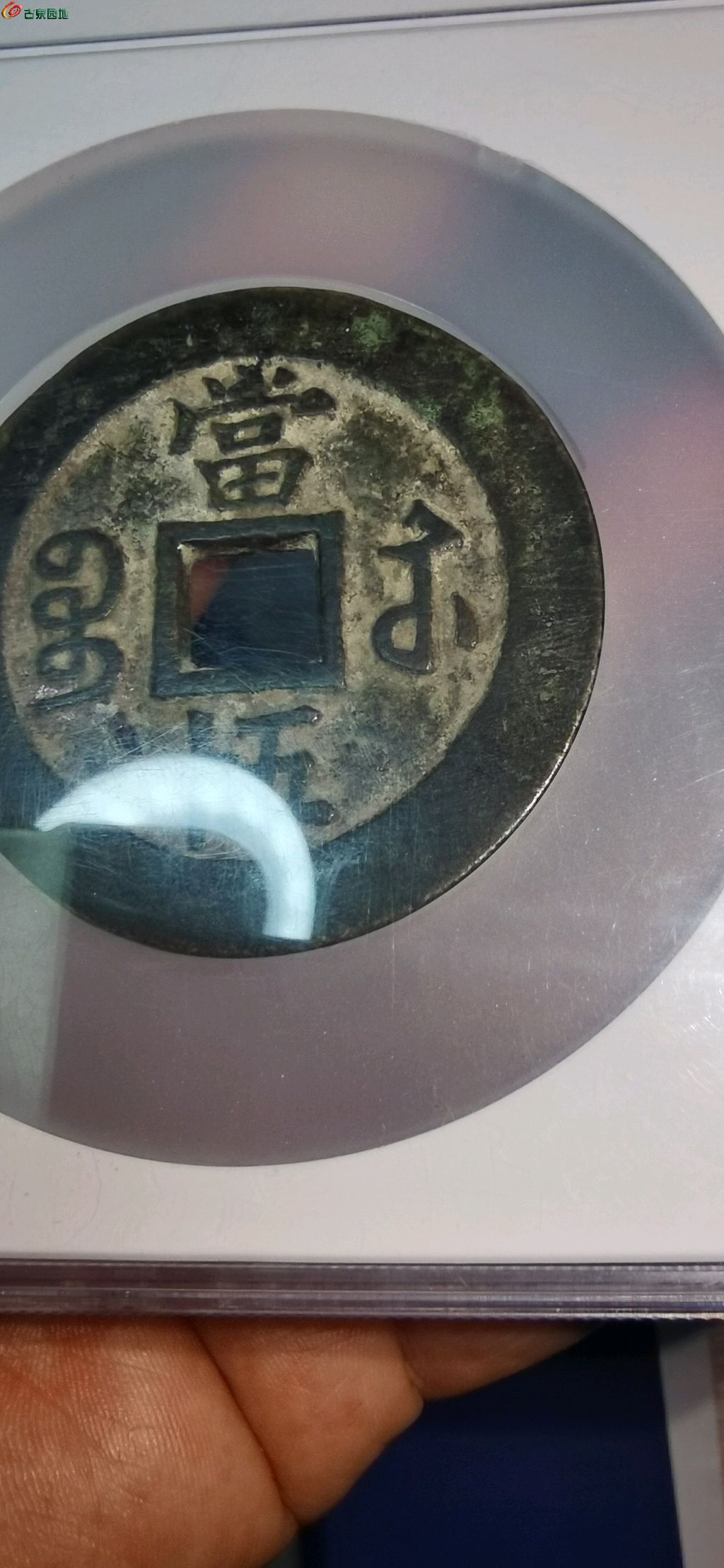 1654007923148.xfile.jpg