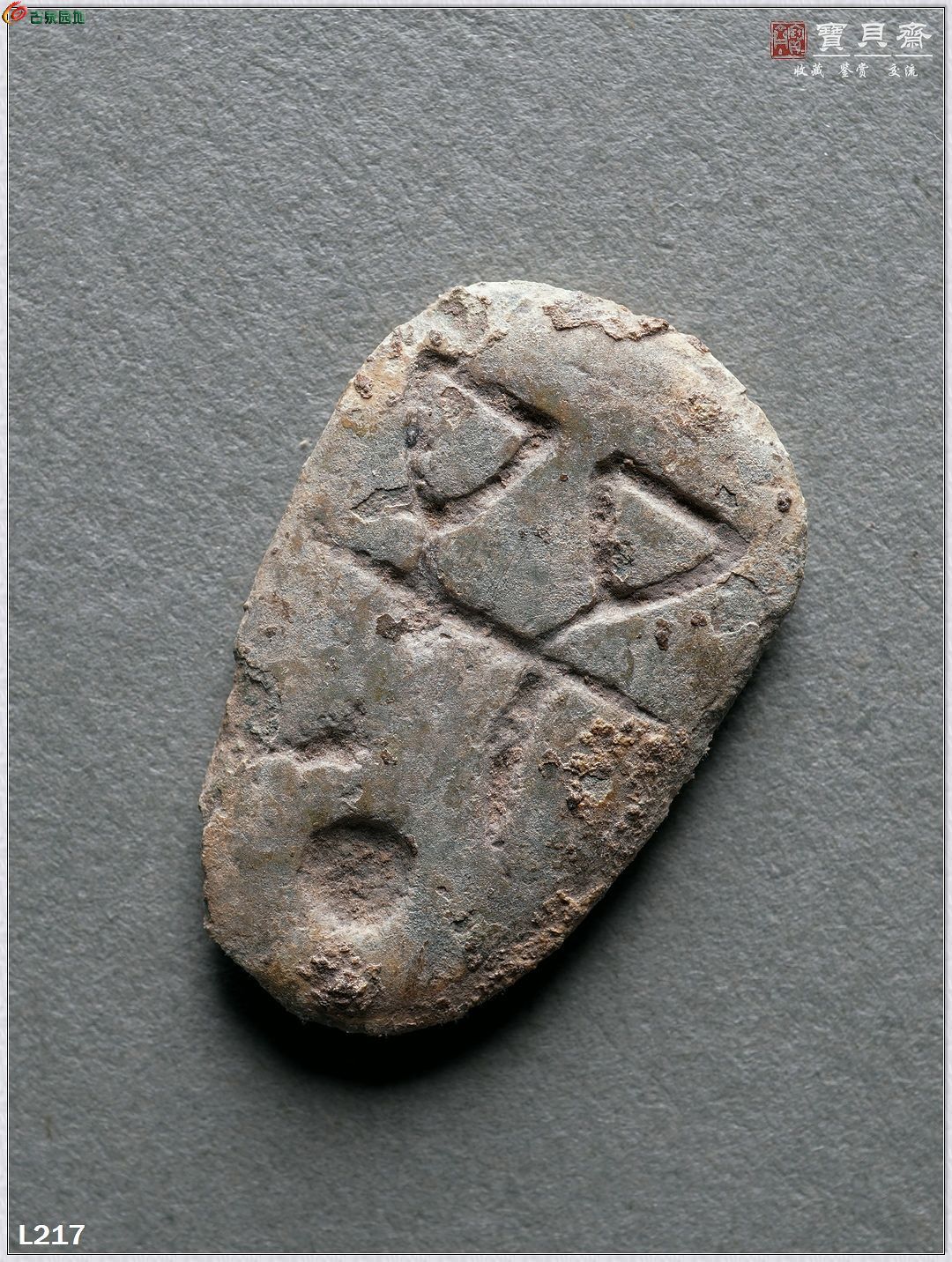 L217-2.jpg