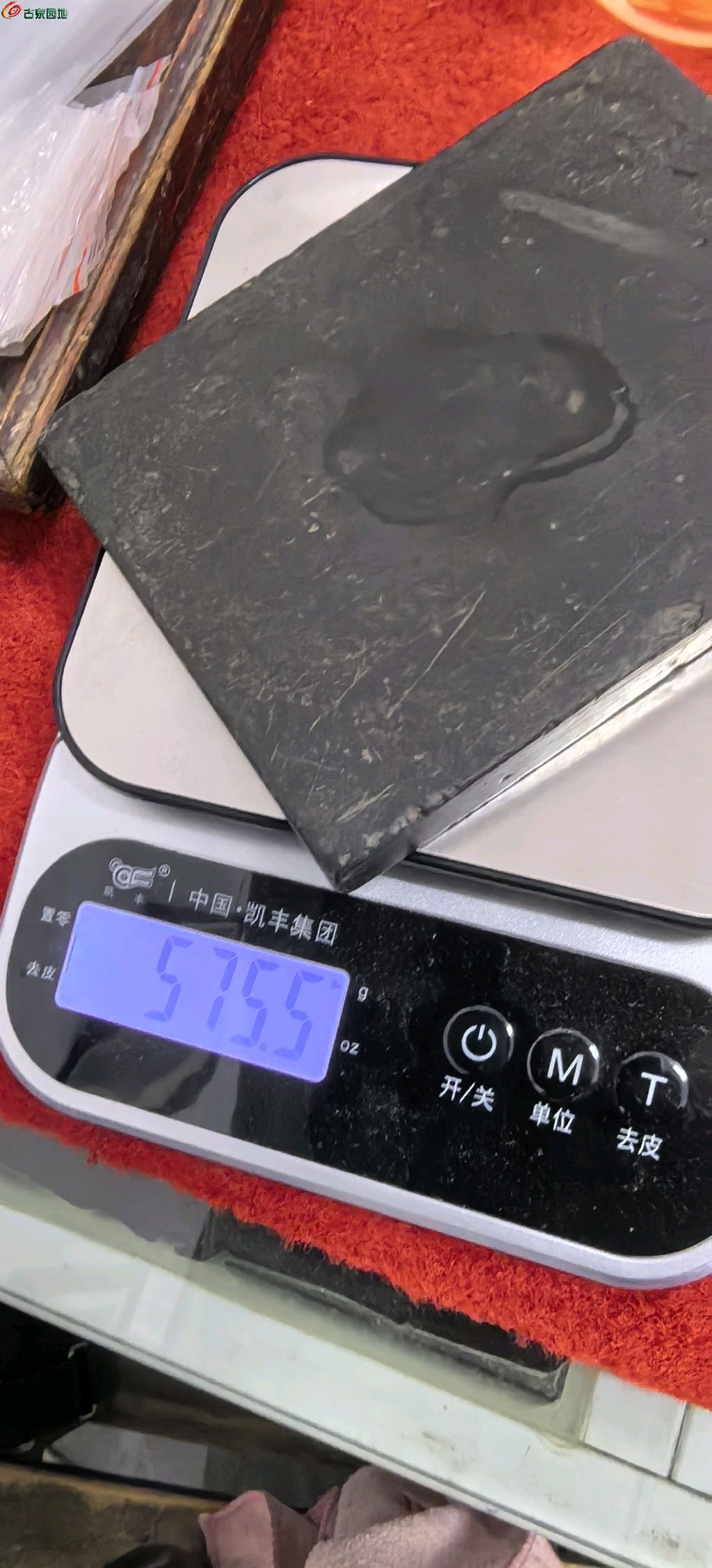 1711545913119.xfile.jpg