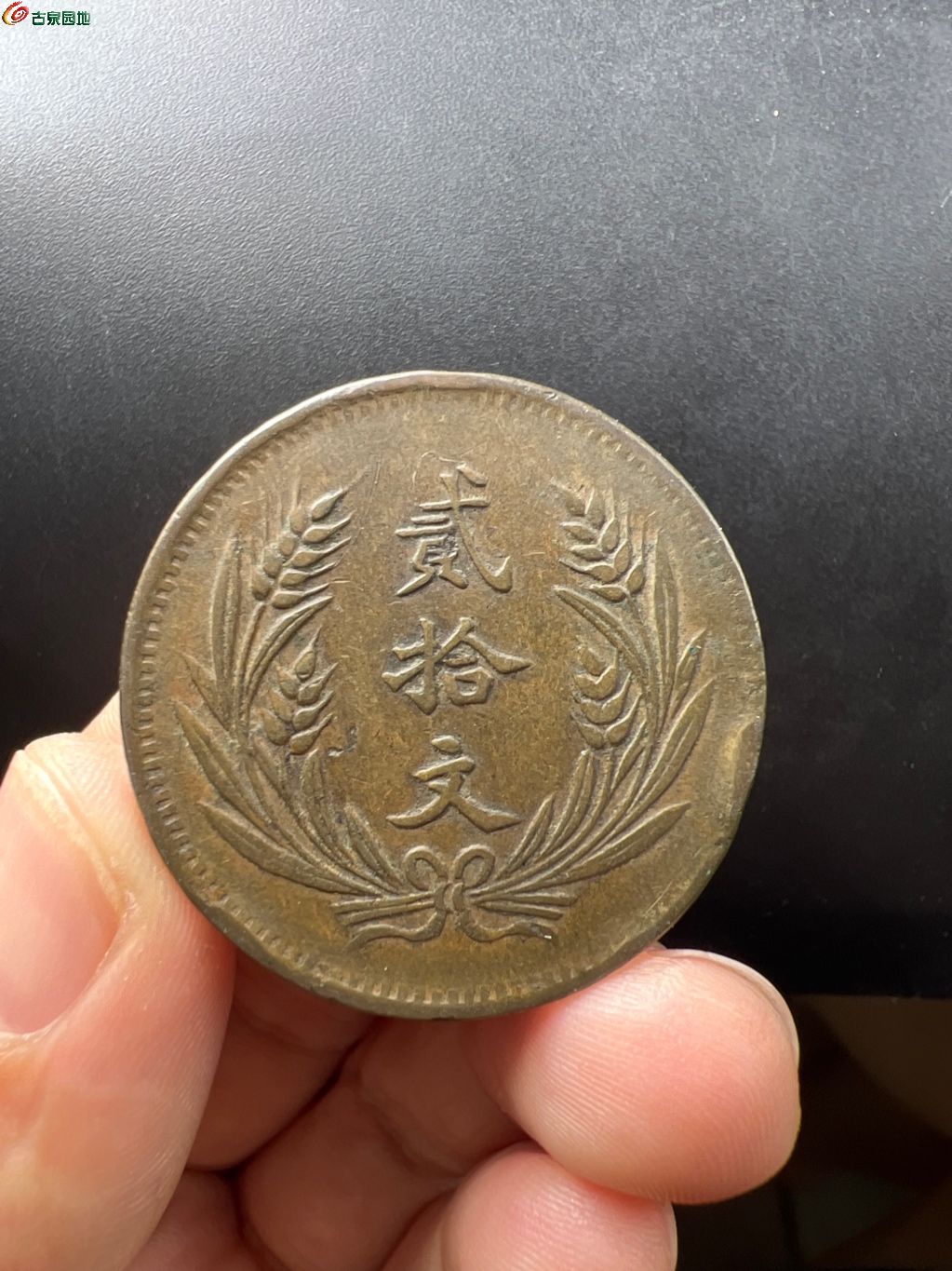 民国八年中华铜币贰拾文大麦穗，41