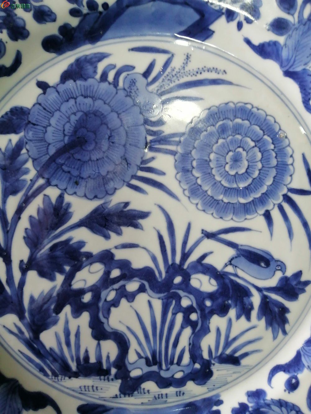 IMG_20240407_103451_edit_224624087180308