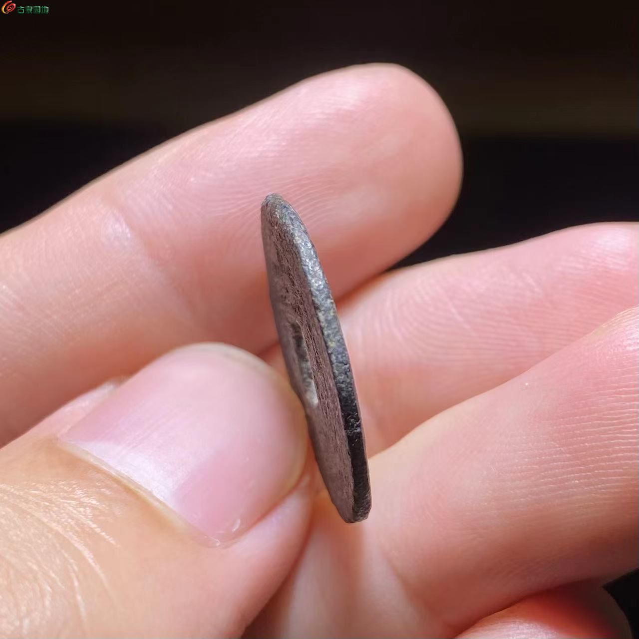 WechatIMG10502.jpg