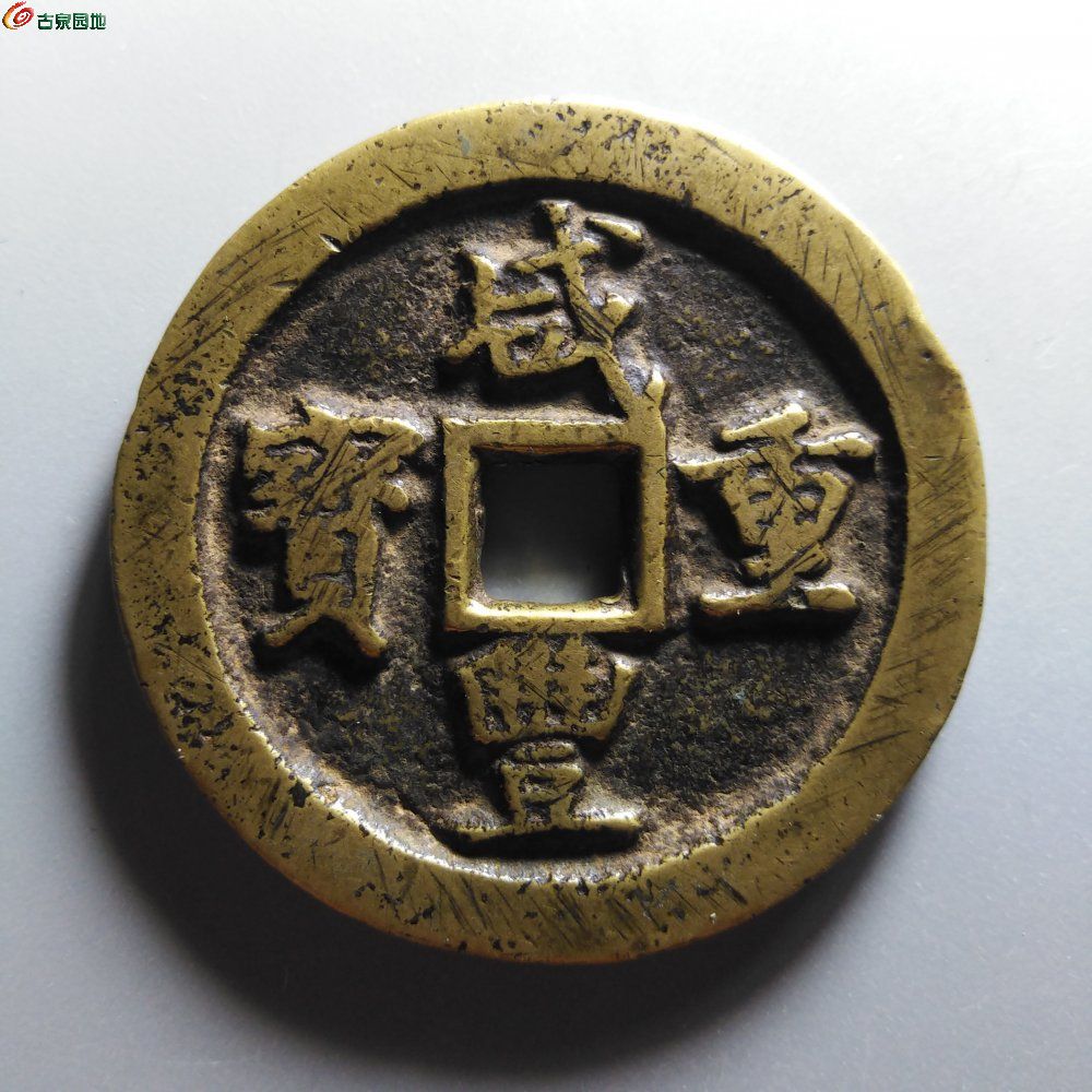 黄亮巩五十