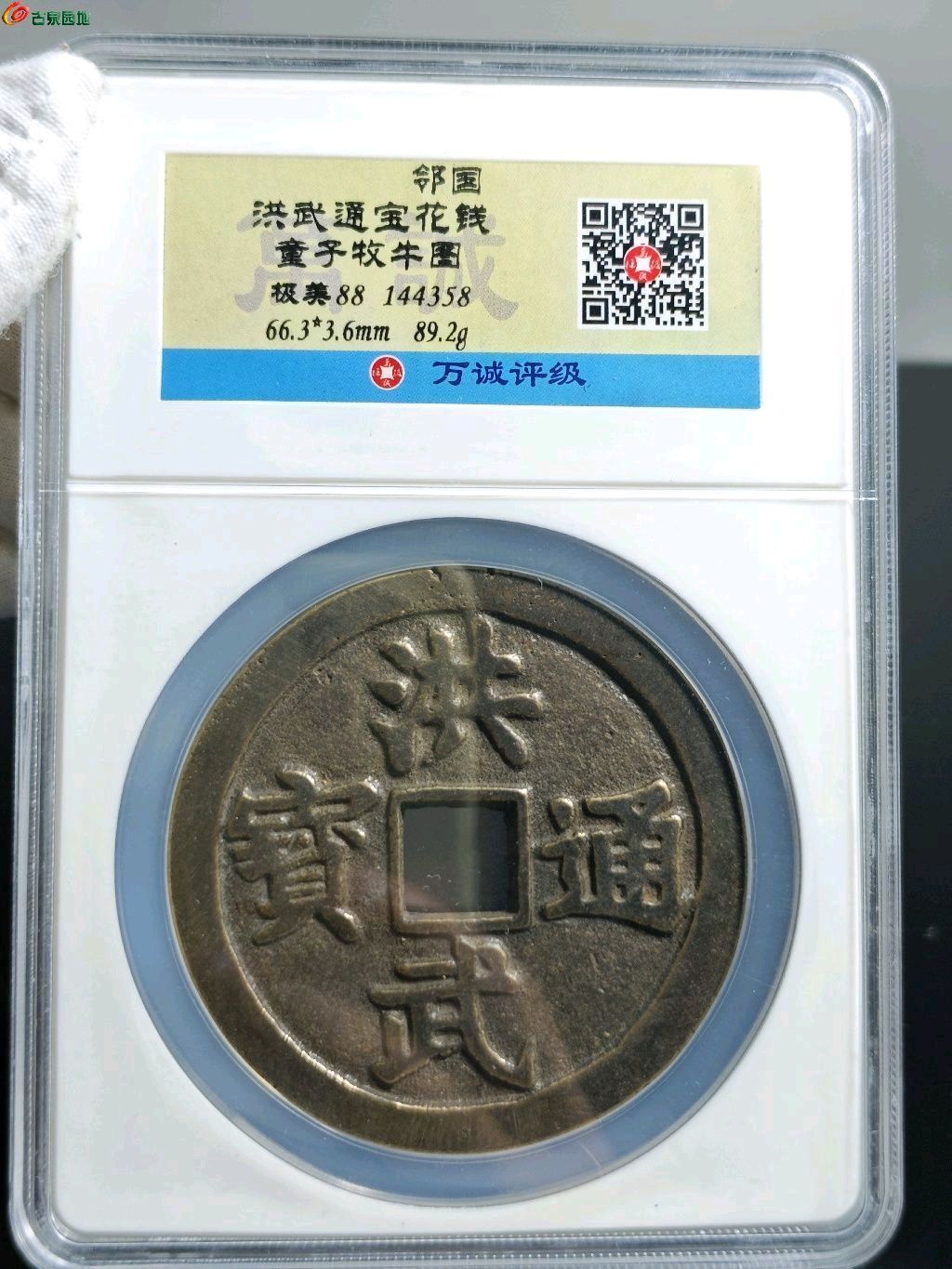 洪武通宝背牧牛童子超大花钱