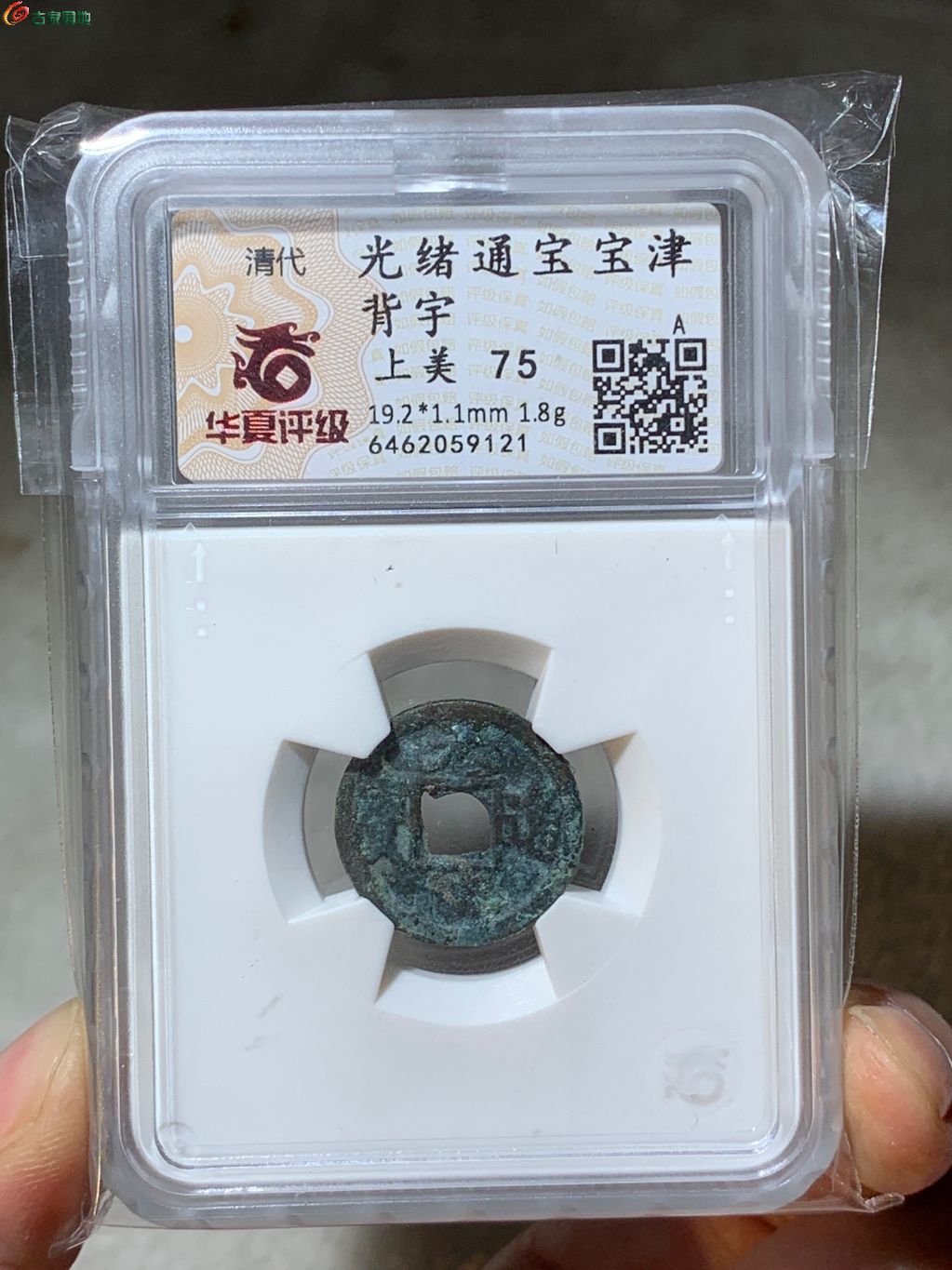 3083光绪通宝宝津背宇