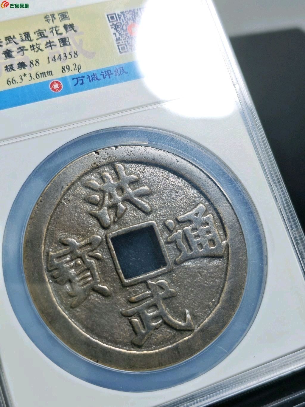 洪武通宝背牧牛童子超大花钱