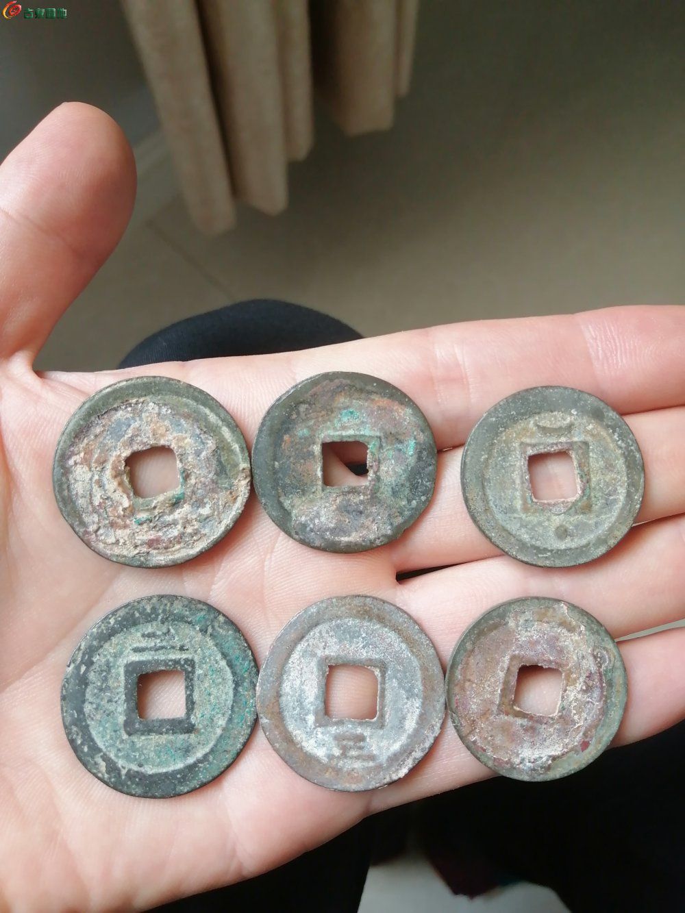 IMG_20241103_150542_edit_788401336366675