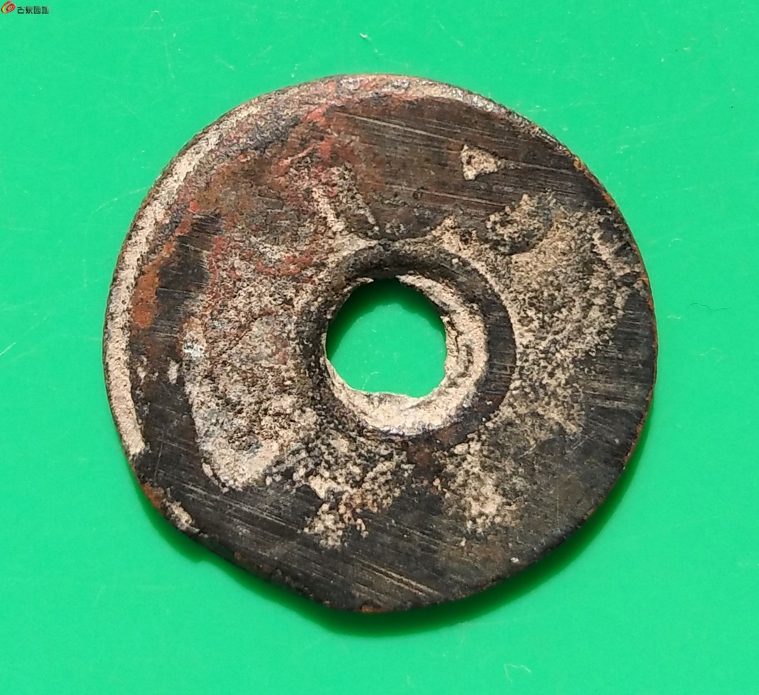 678.jpg