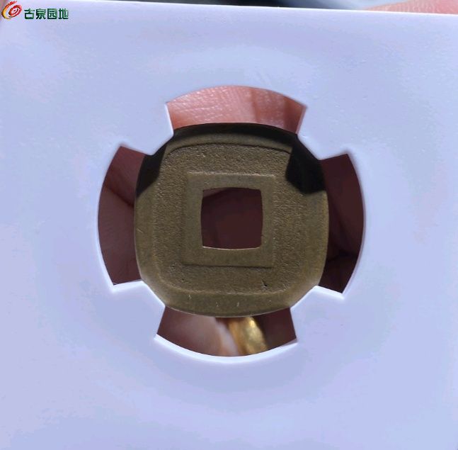 ͼƬ´ڴ򿪲鿴