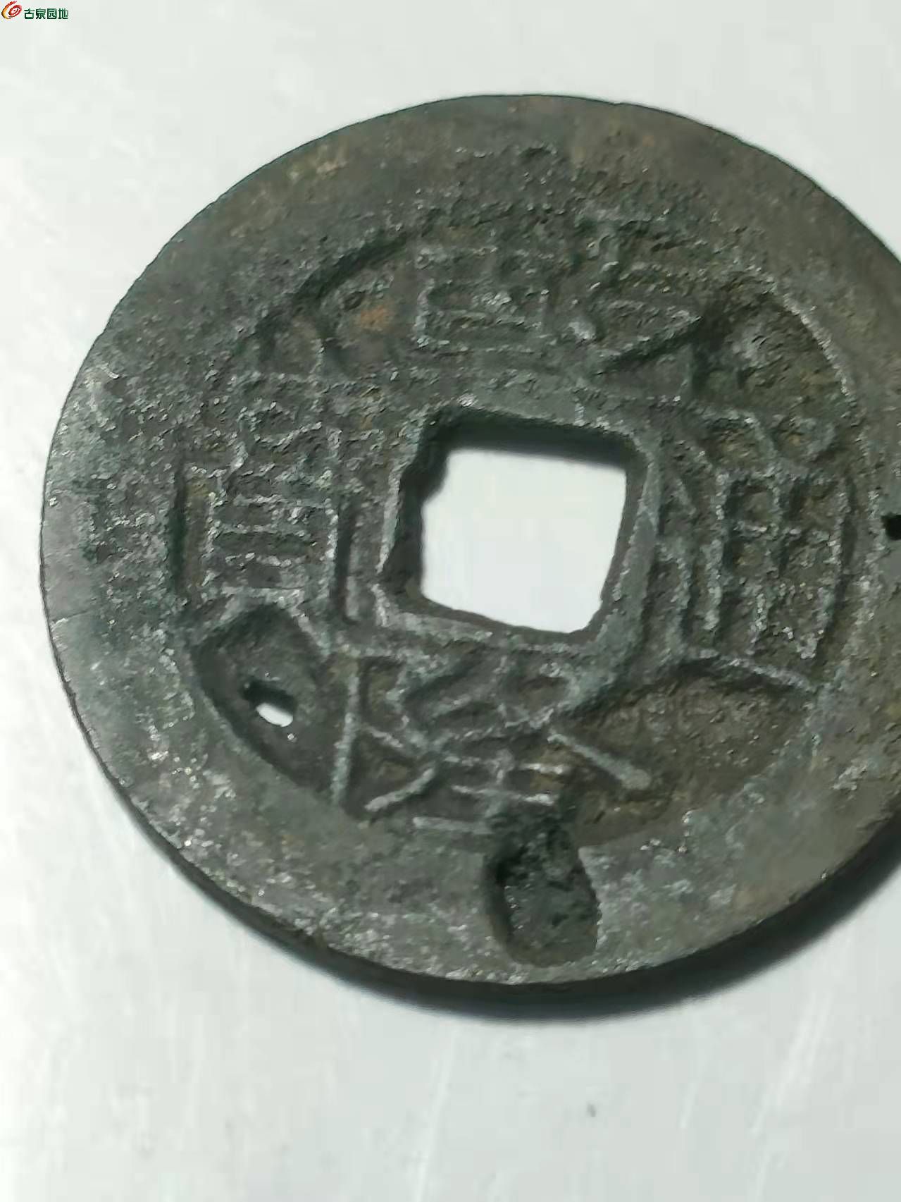 d42bf36ca31b8100bed1c4ec2850745.jpg