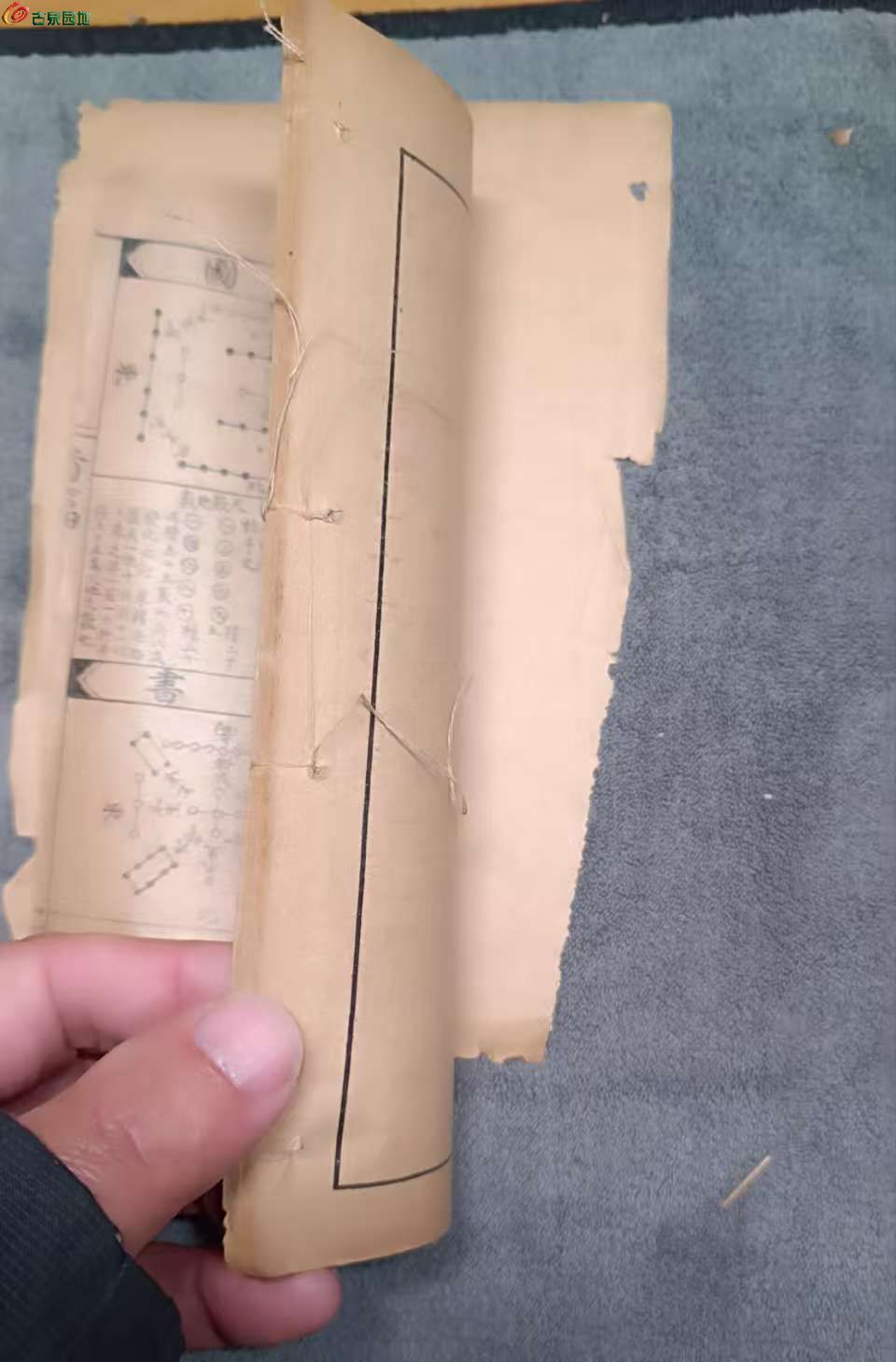 150,e9208eb87251eb.jpg