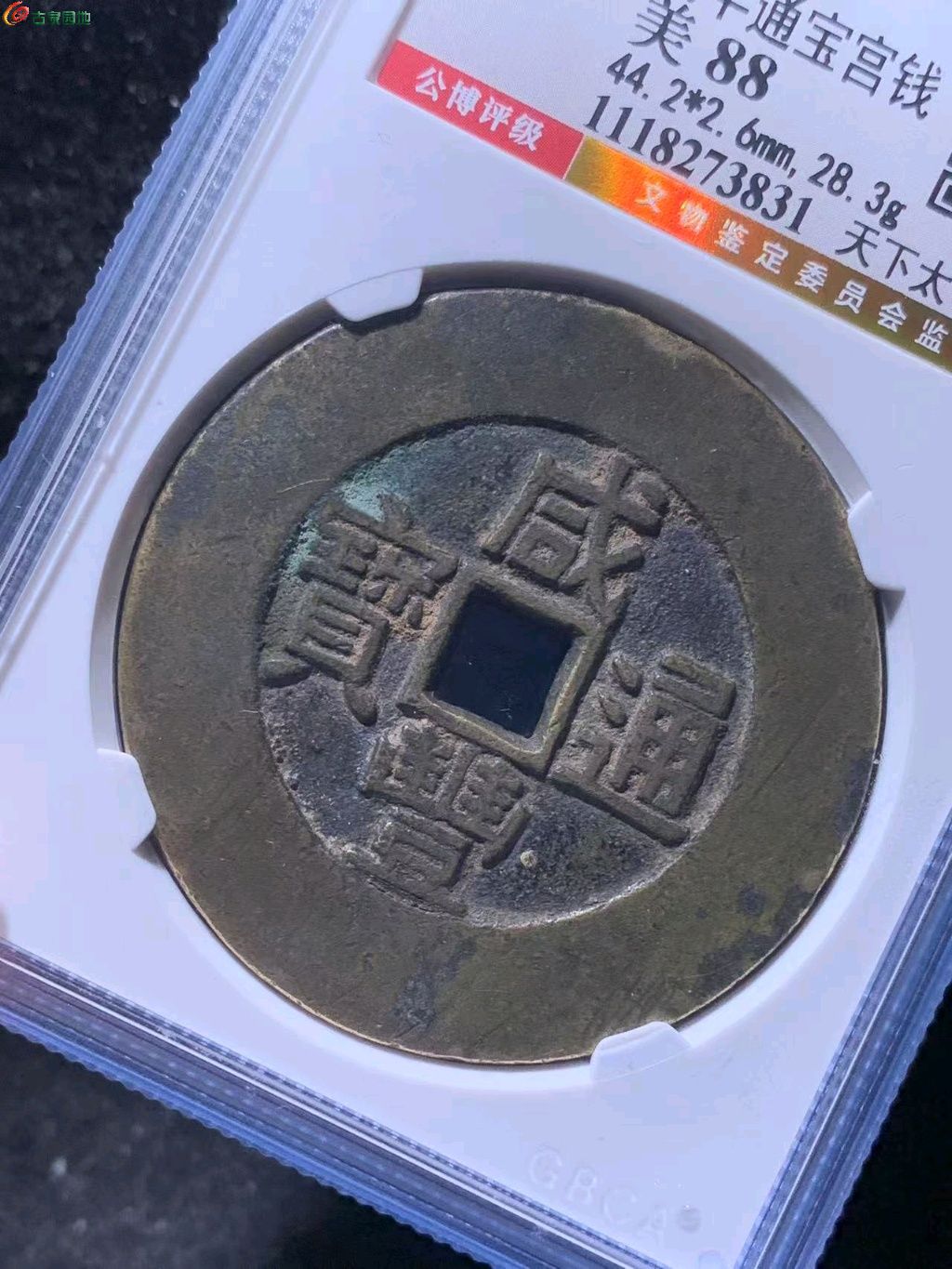 图片点击可在新窗口打开查看