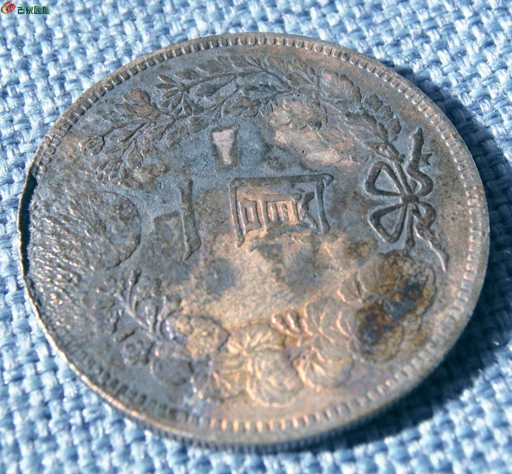 1896年明治29年飞龙一圆大银圆局9.jpg