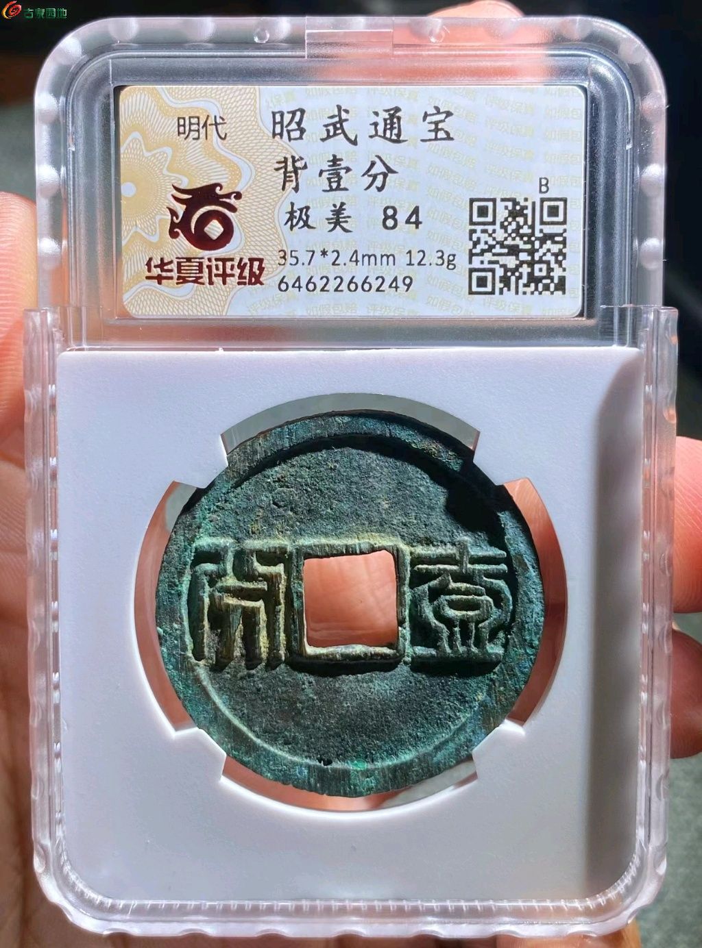 ͼƬ´ڴ򿪲鿴