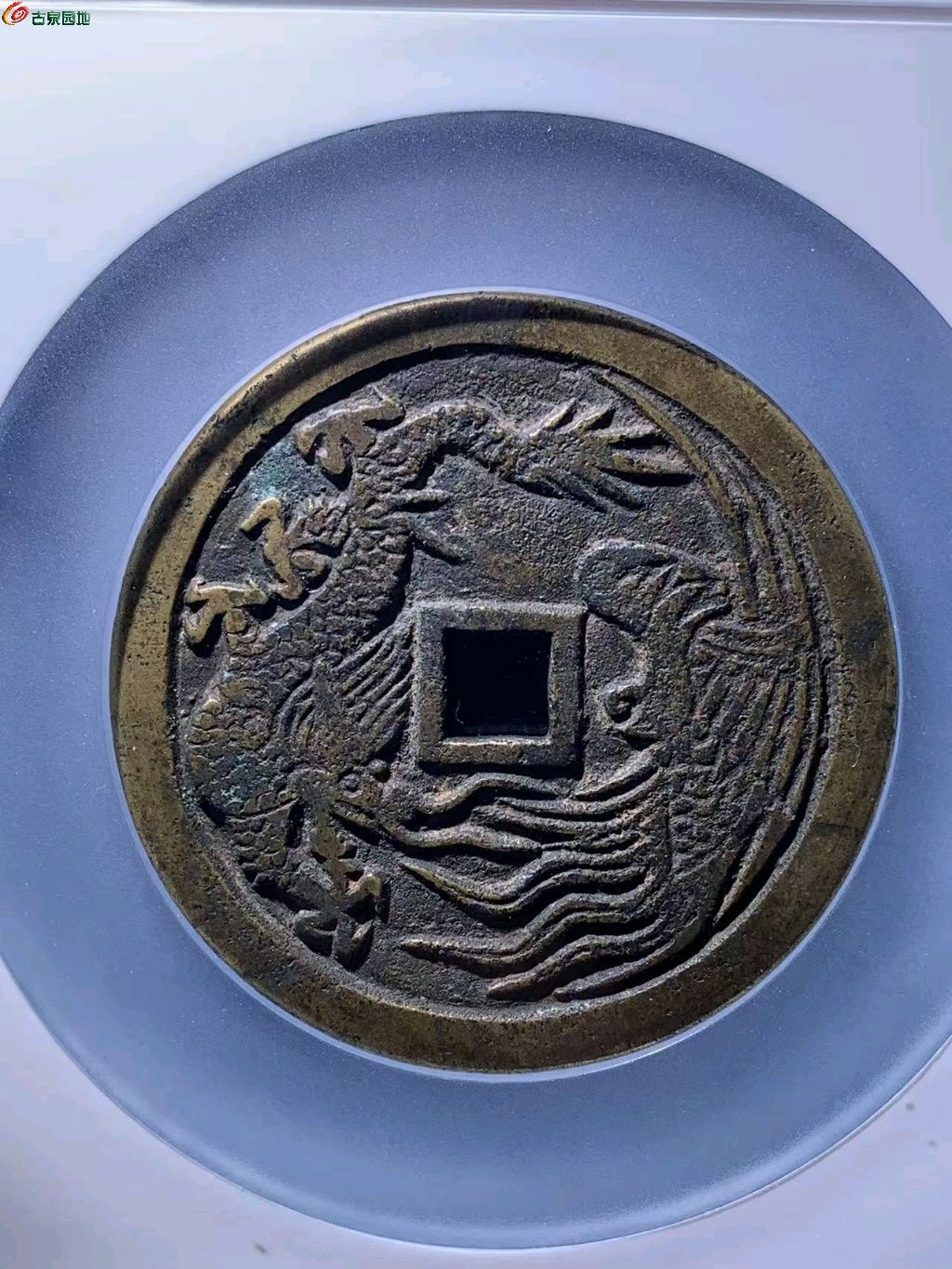 图片点击可在新窗口打开查看