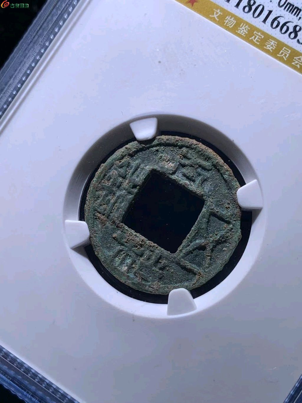 图片点击可在新窗口打开查看