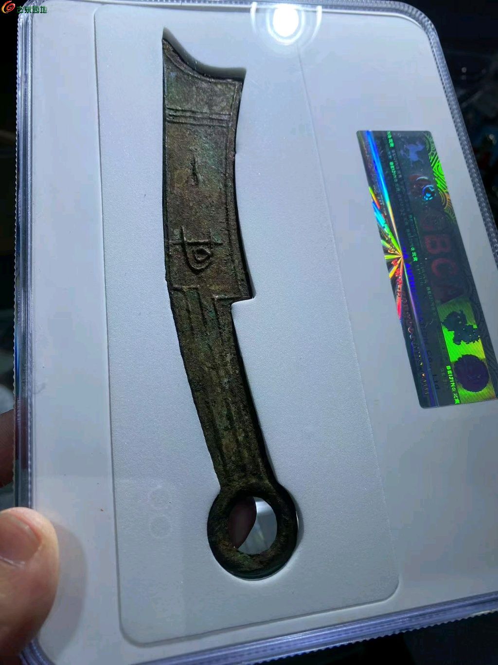 图片点击可在新窗口打开查看