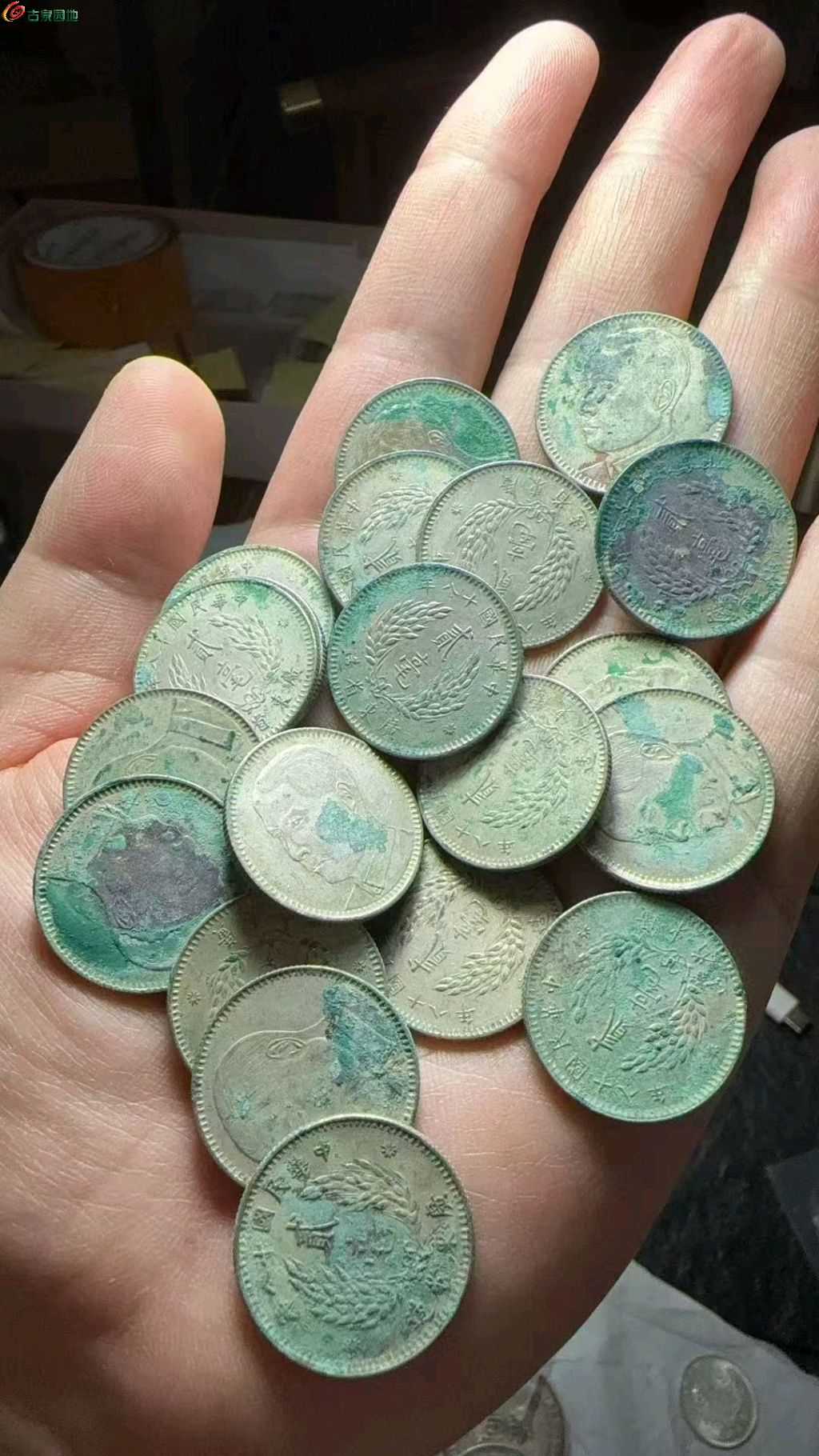 ͼƬ´ڴ򿪲鿴