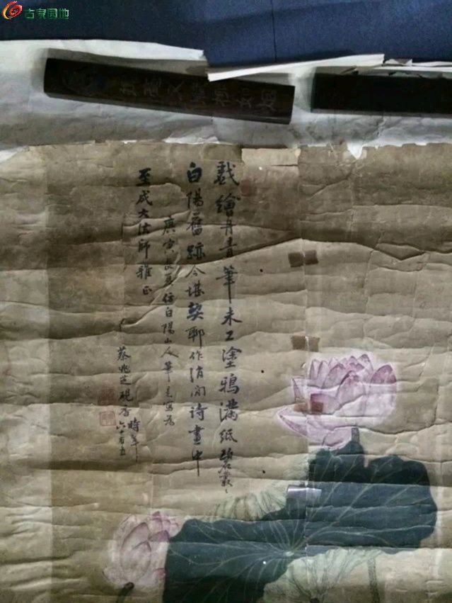 1741839907813.xfile.jpg