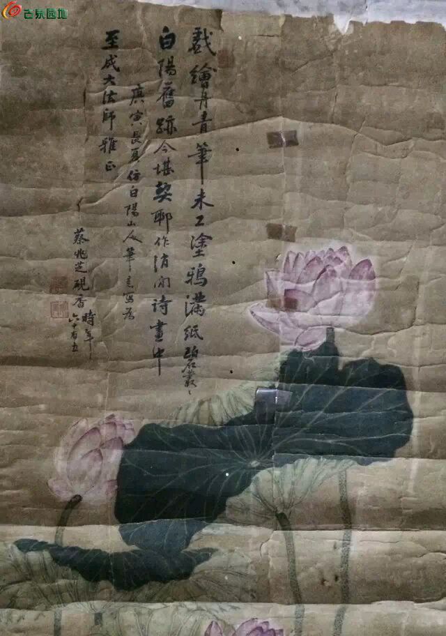 1741839907868.xfile.jpg