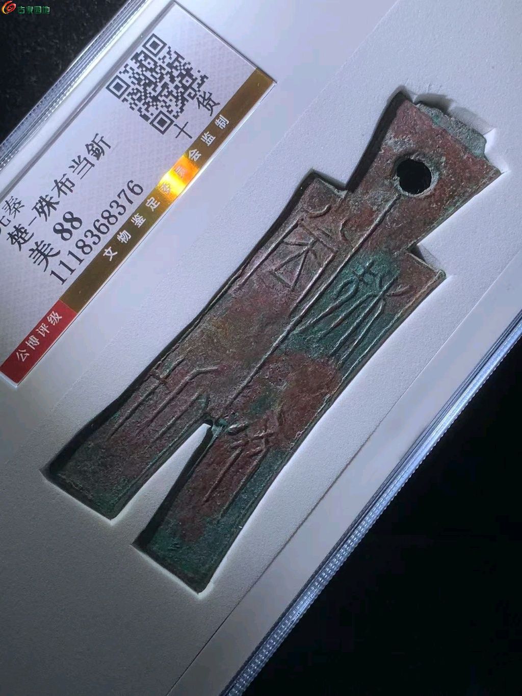 图片点击可在新窗口打开查看