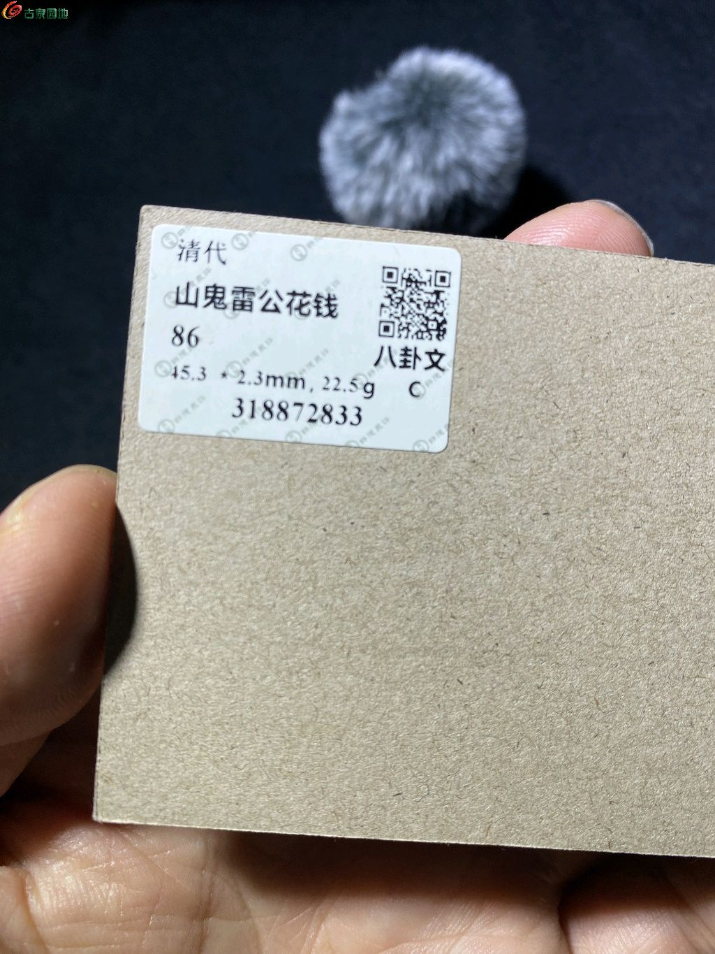 ͼƬ´ڴ򿪲鿴