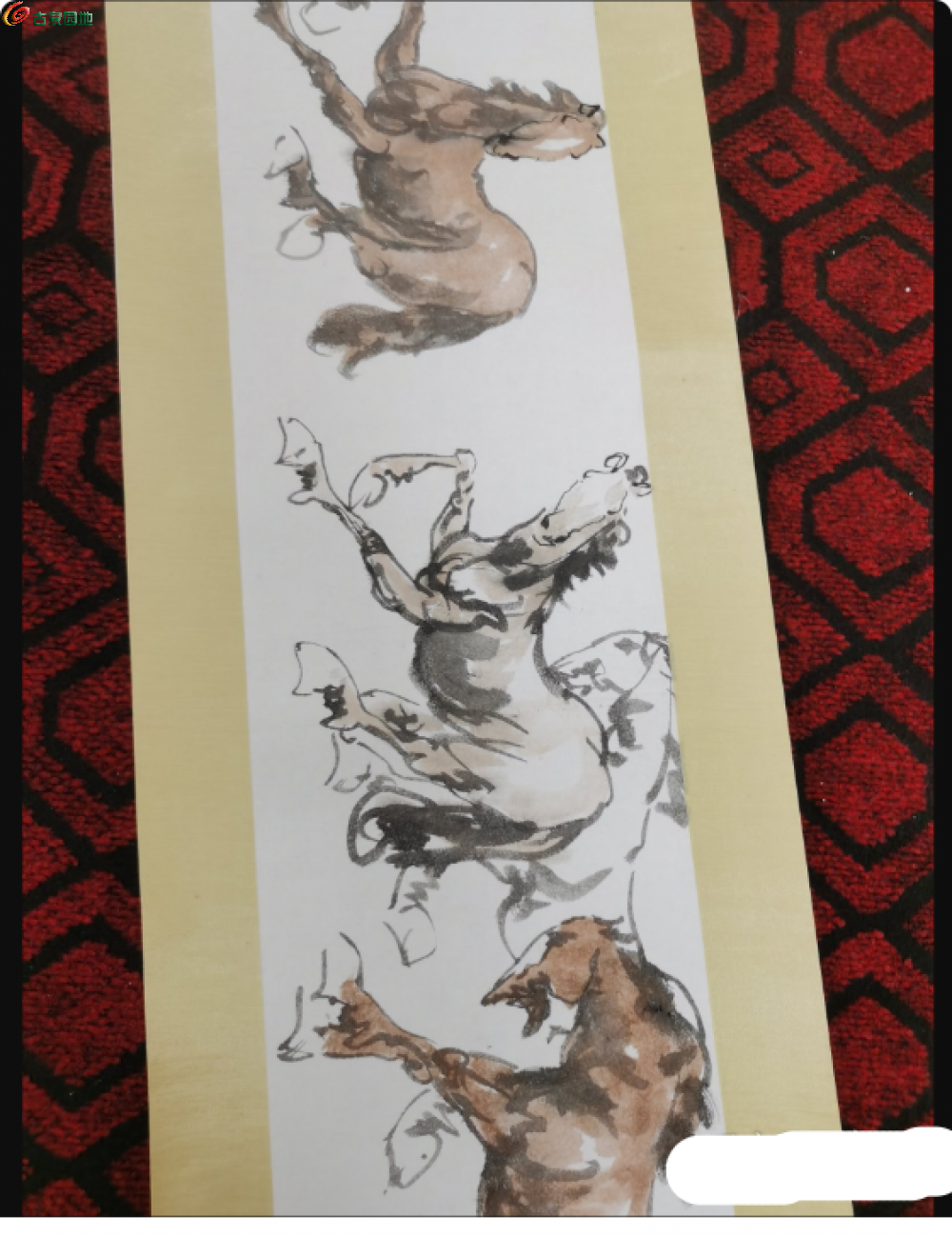 局部截取_20250212_232558.png