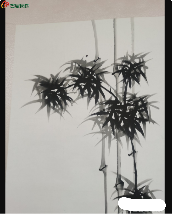 局部截取_20250302_215456.png