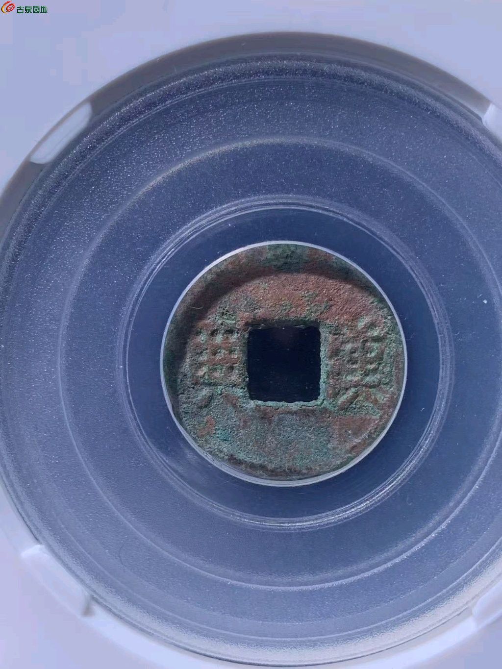 图片点击可在新窗口打开查看