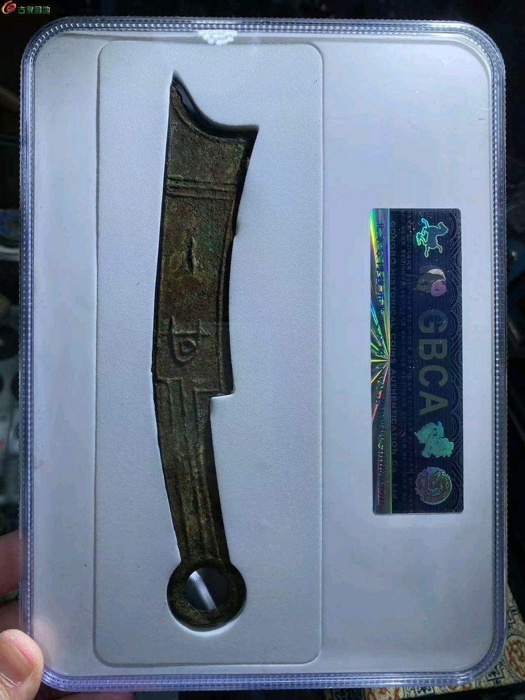 图片点击可在新窗口打开查看