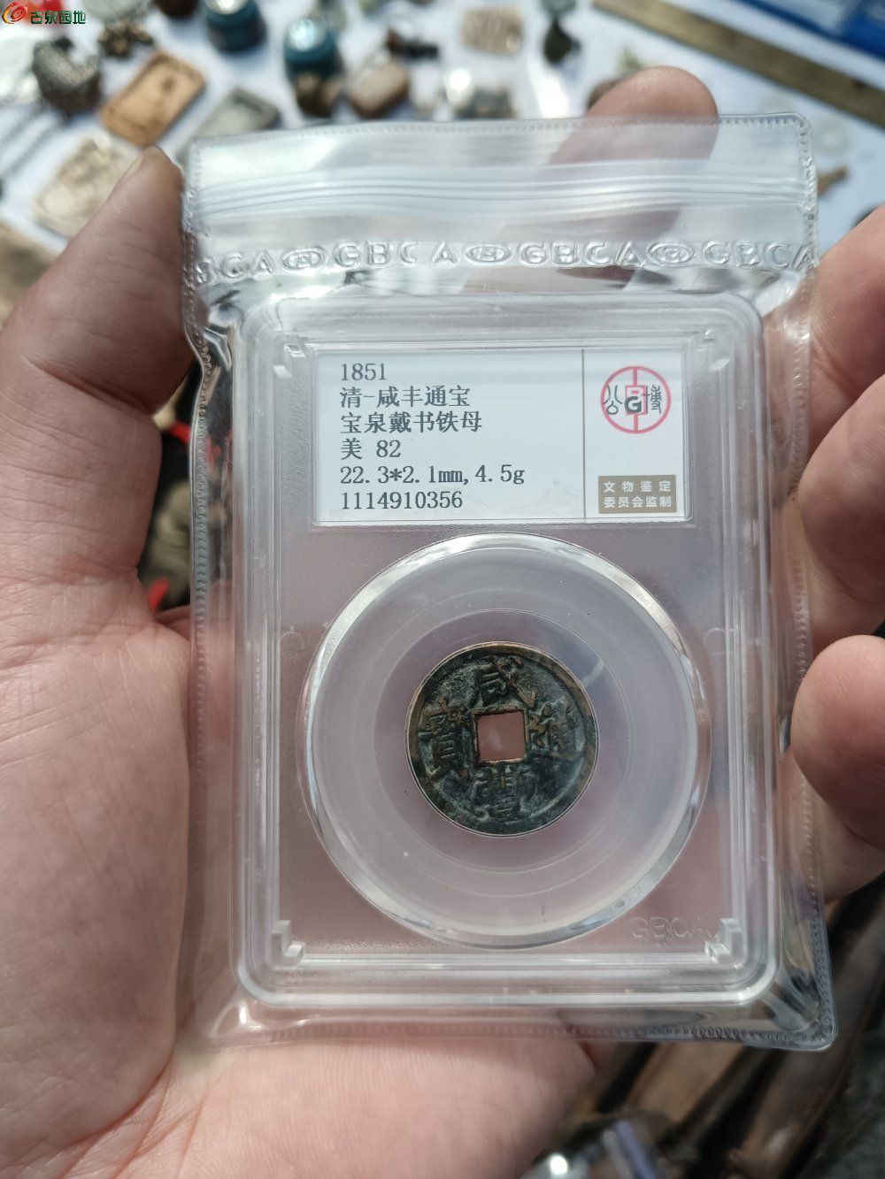 82802.jpg