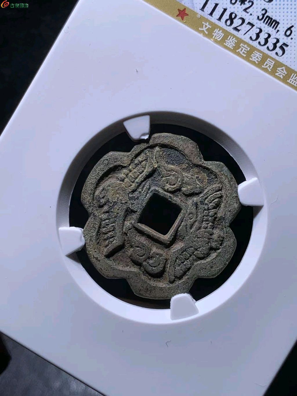ͼƬ´ڴ򿪲鿴