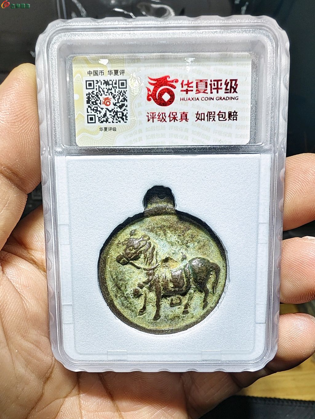 图片点击可在新窗口打开查看