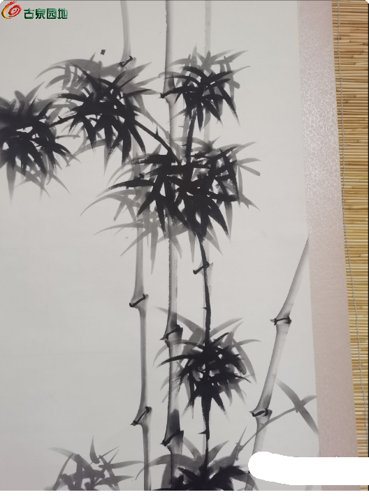 局部截取_20250302_215514.png