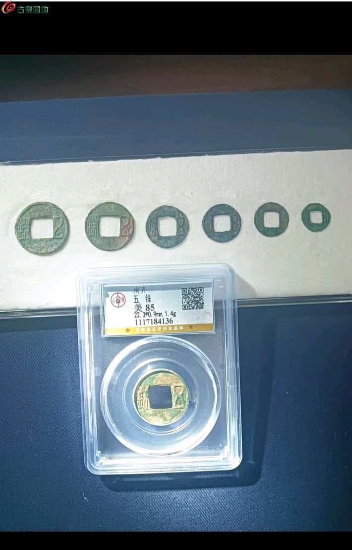 1744073312946.xfile.jpg