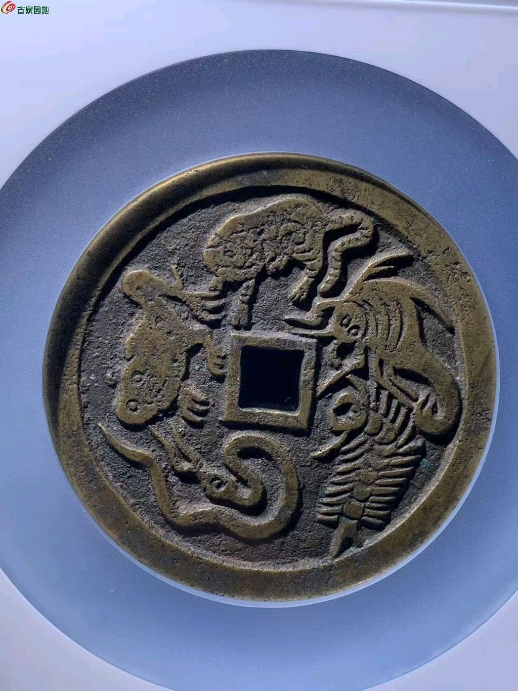 图片点击可在新窗口打开查看
