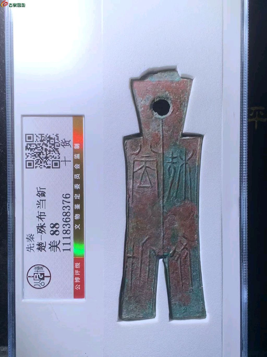图片点击可在新窗口打开查看