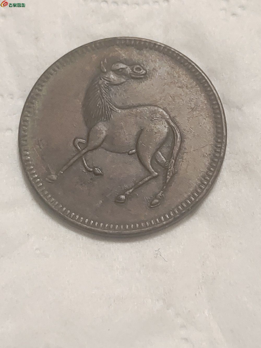 1744724917530.jpg