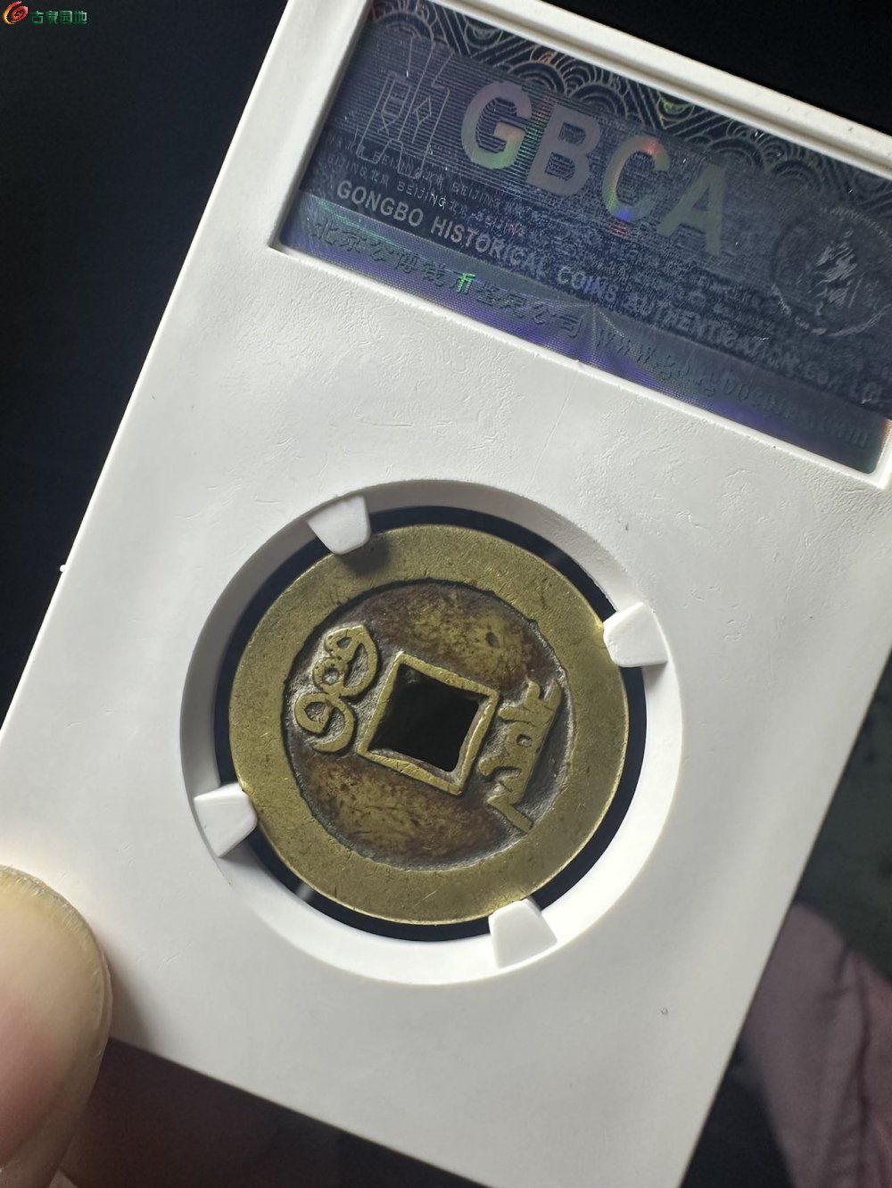 87832.jpg