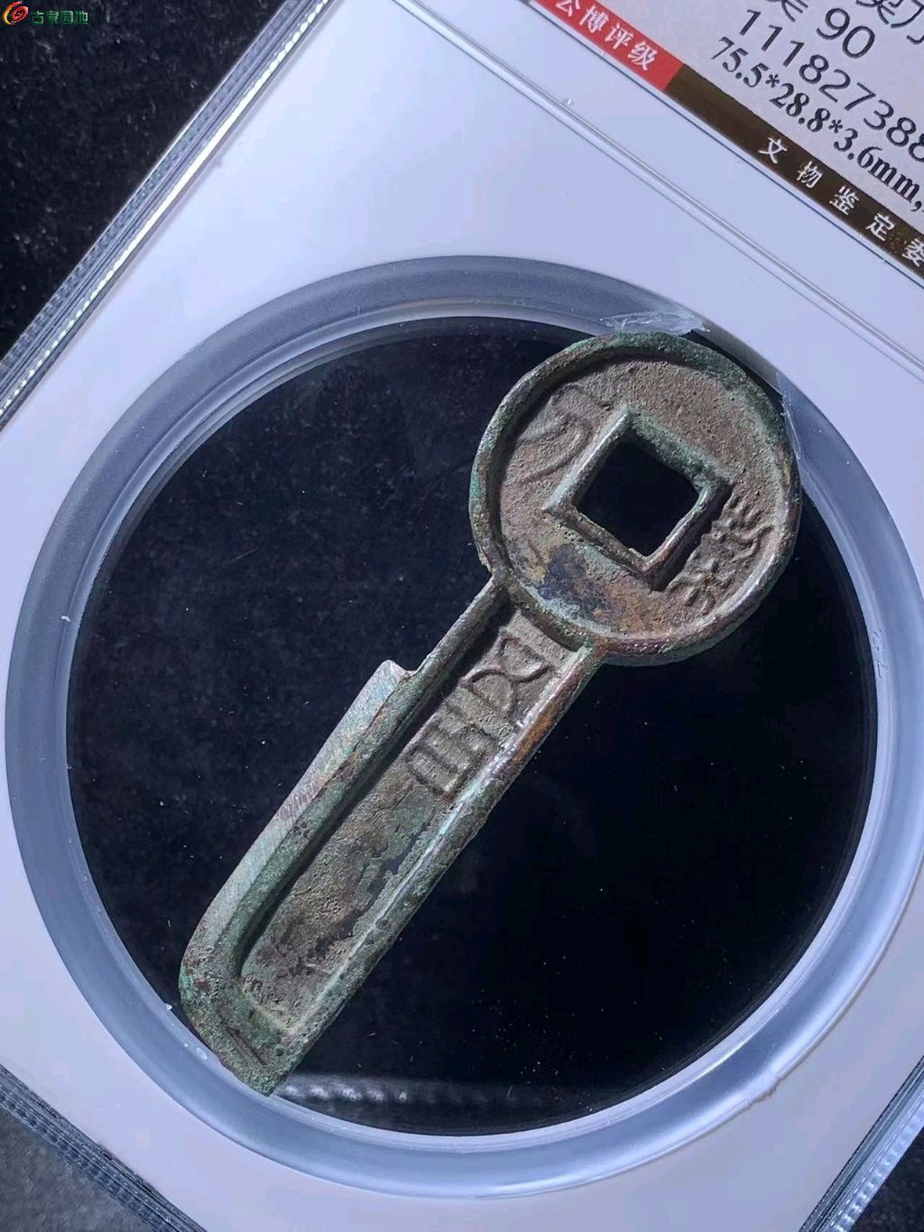 图片点击可在新窗口打开查看