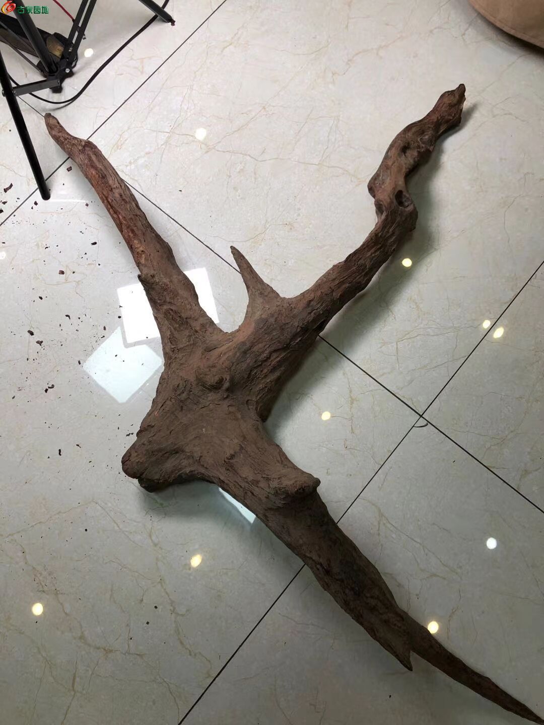 ͼƬ´ڴ򿪲鿴