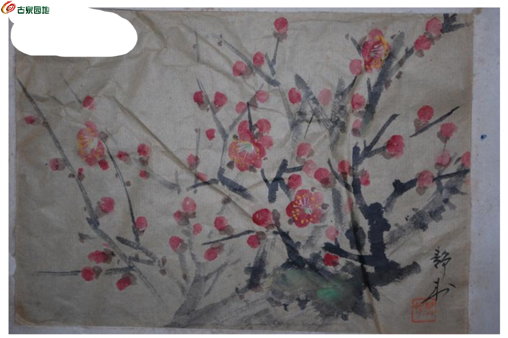 局部截取_20250222_220525.png