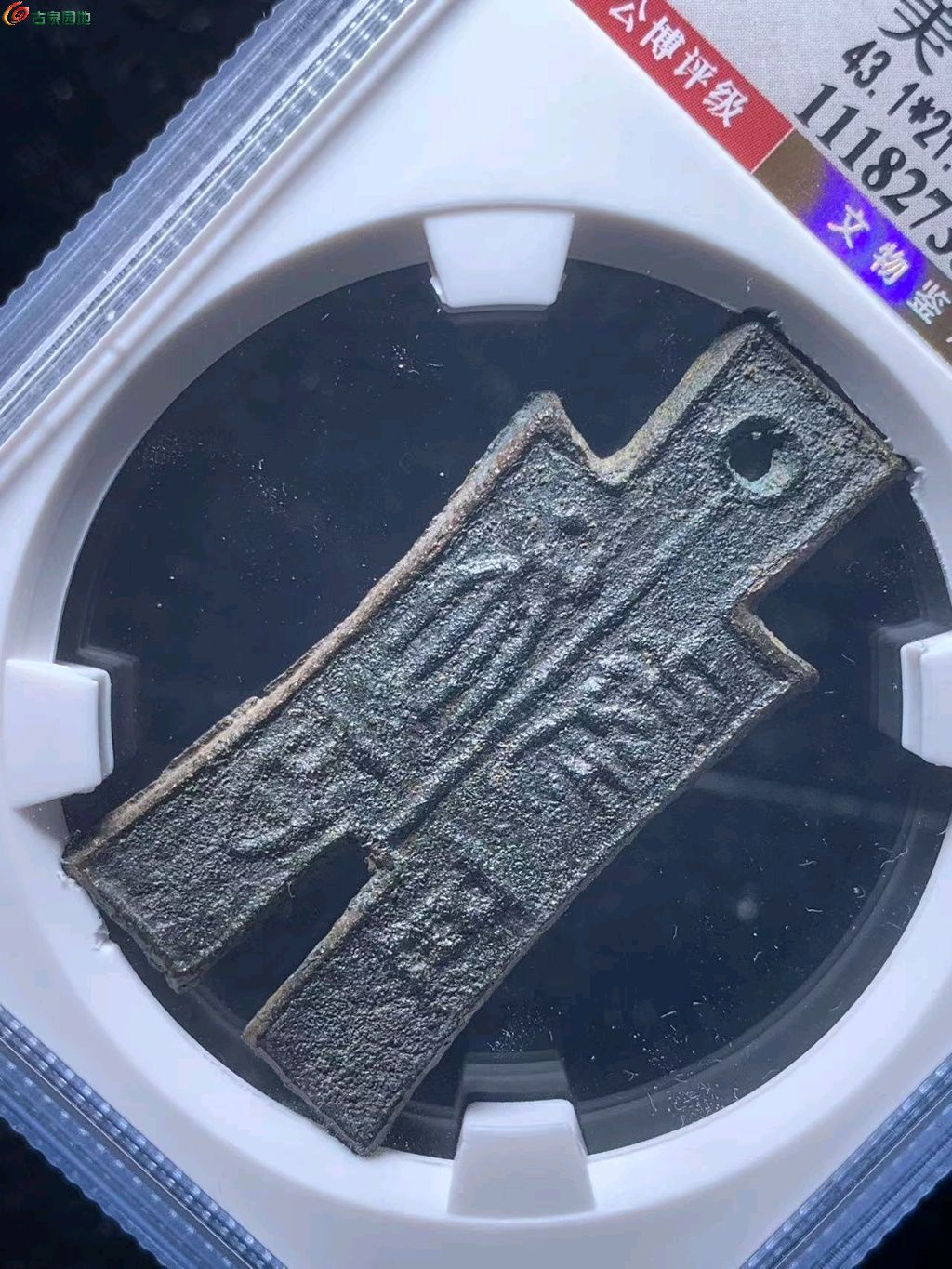 图片点击可在新窗口打开查看