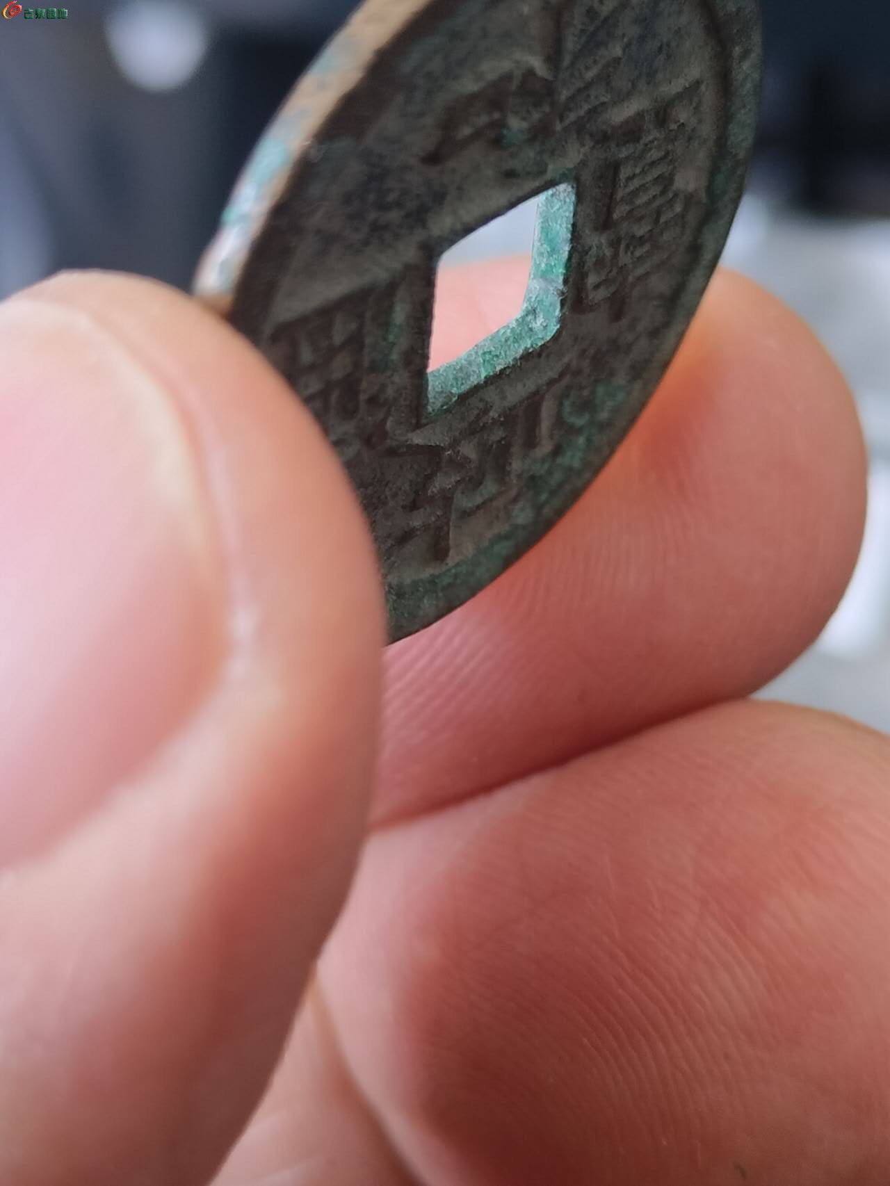 55124.jpg
