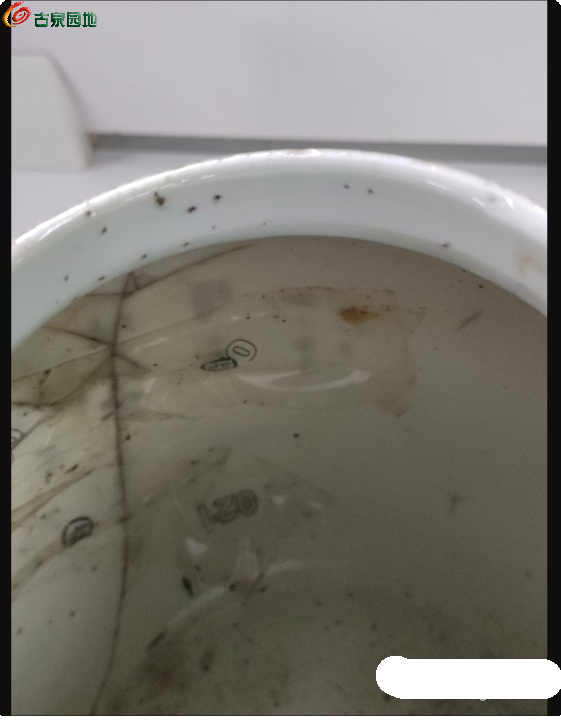 局部截取_20250213_010957.png