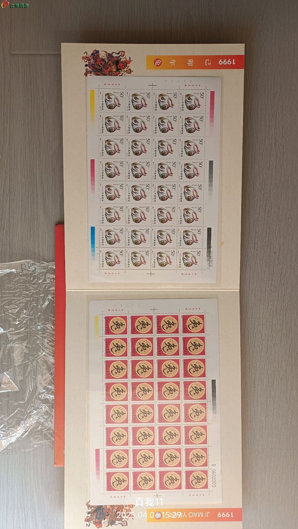 1743925538664.xfile.jpg