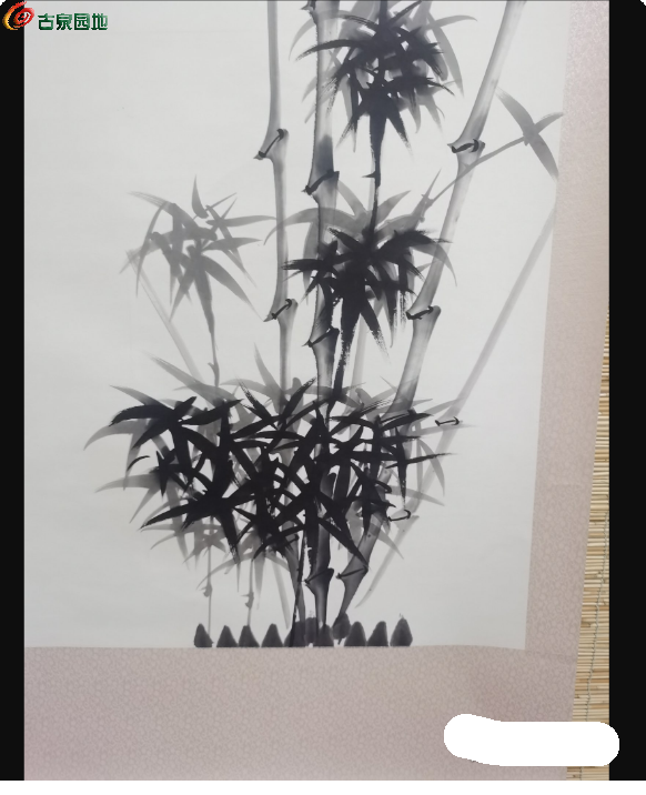 局部截取_20250302_215549.png