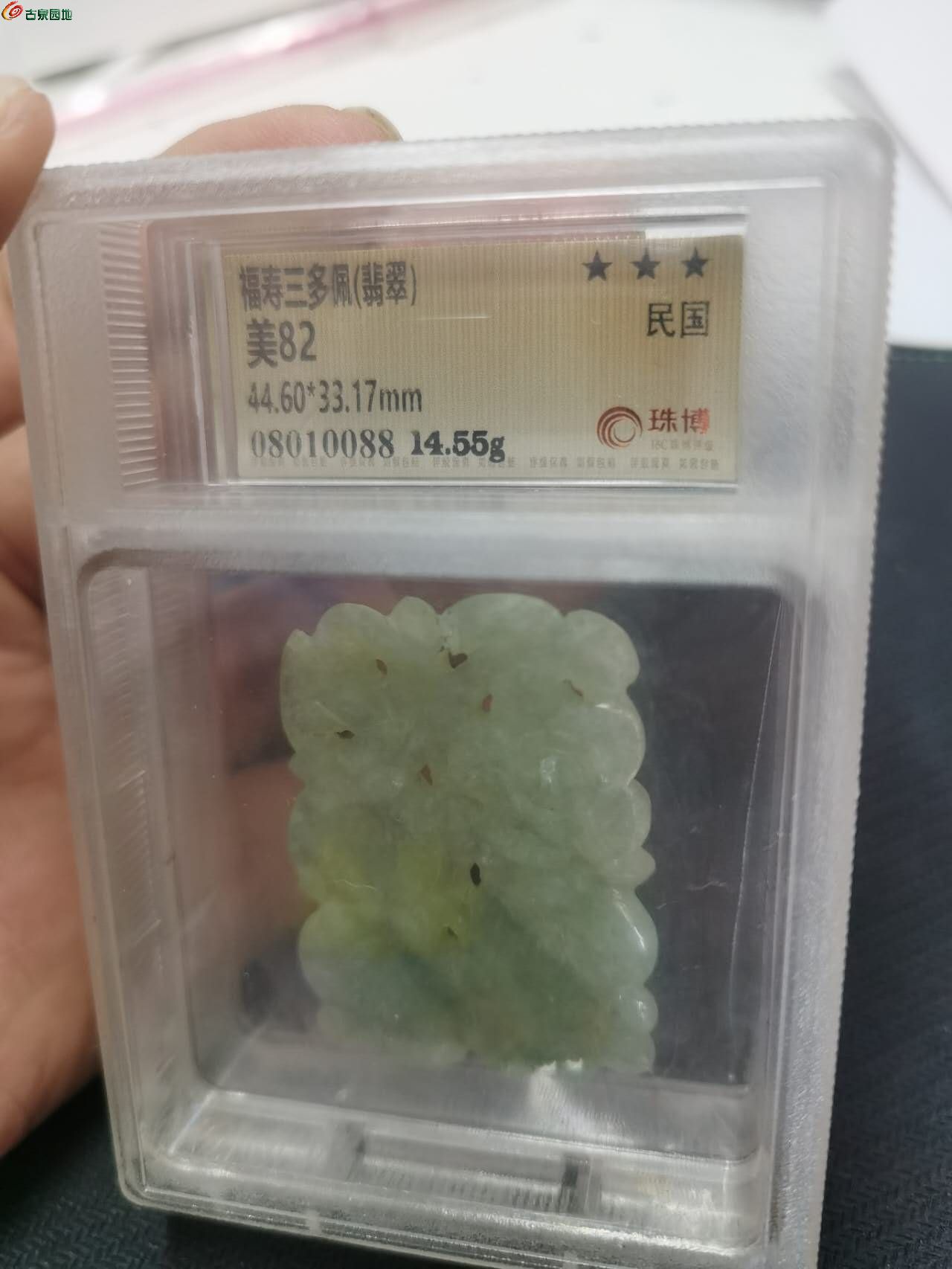 38969.jpg