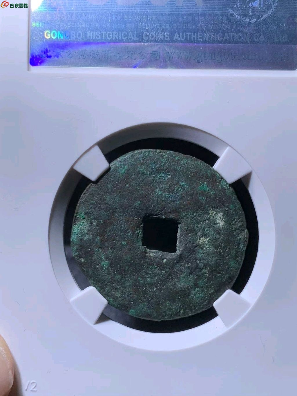 图片点击可在新窗口打开查看