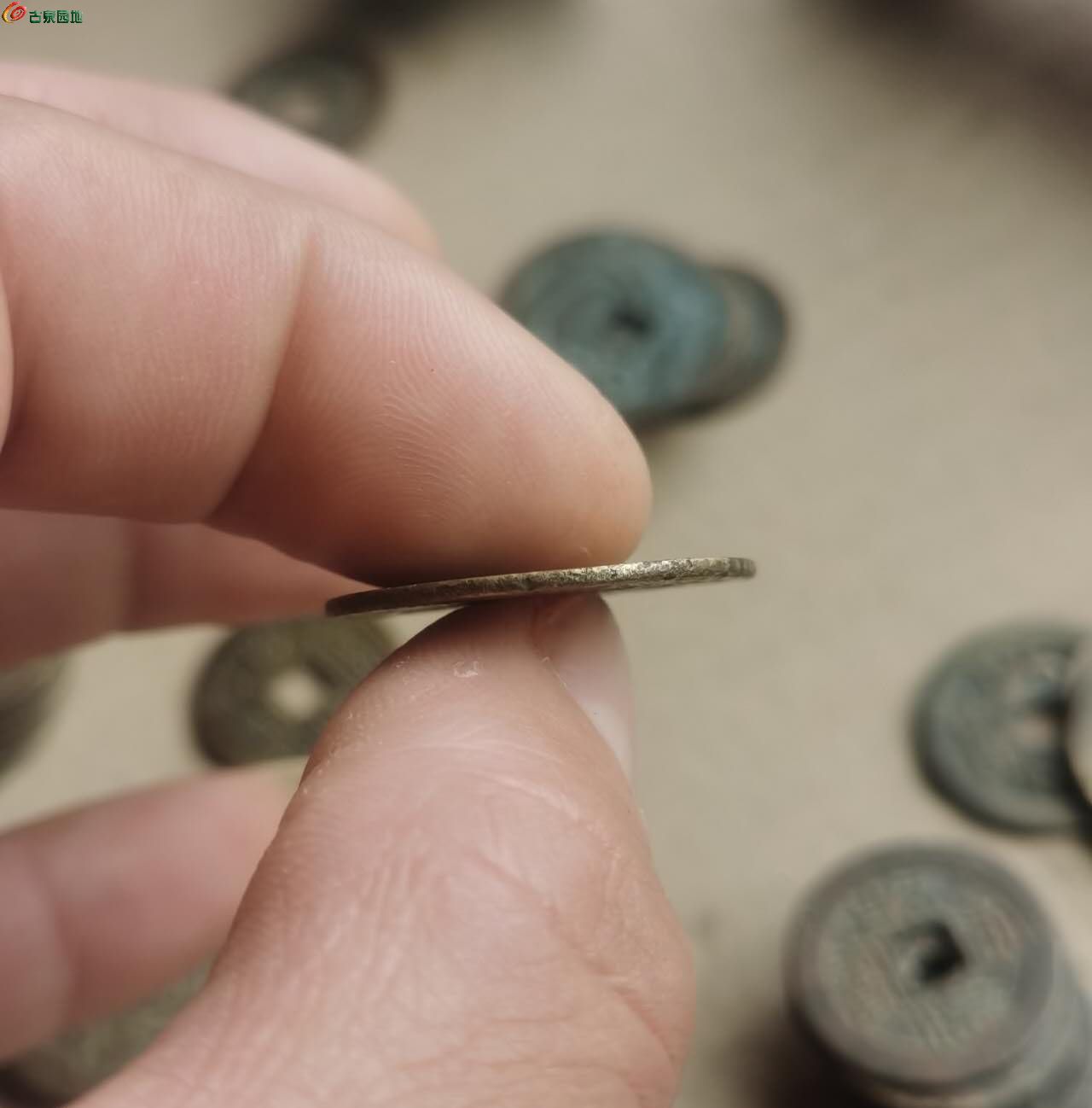34578.jpg